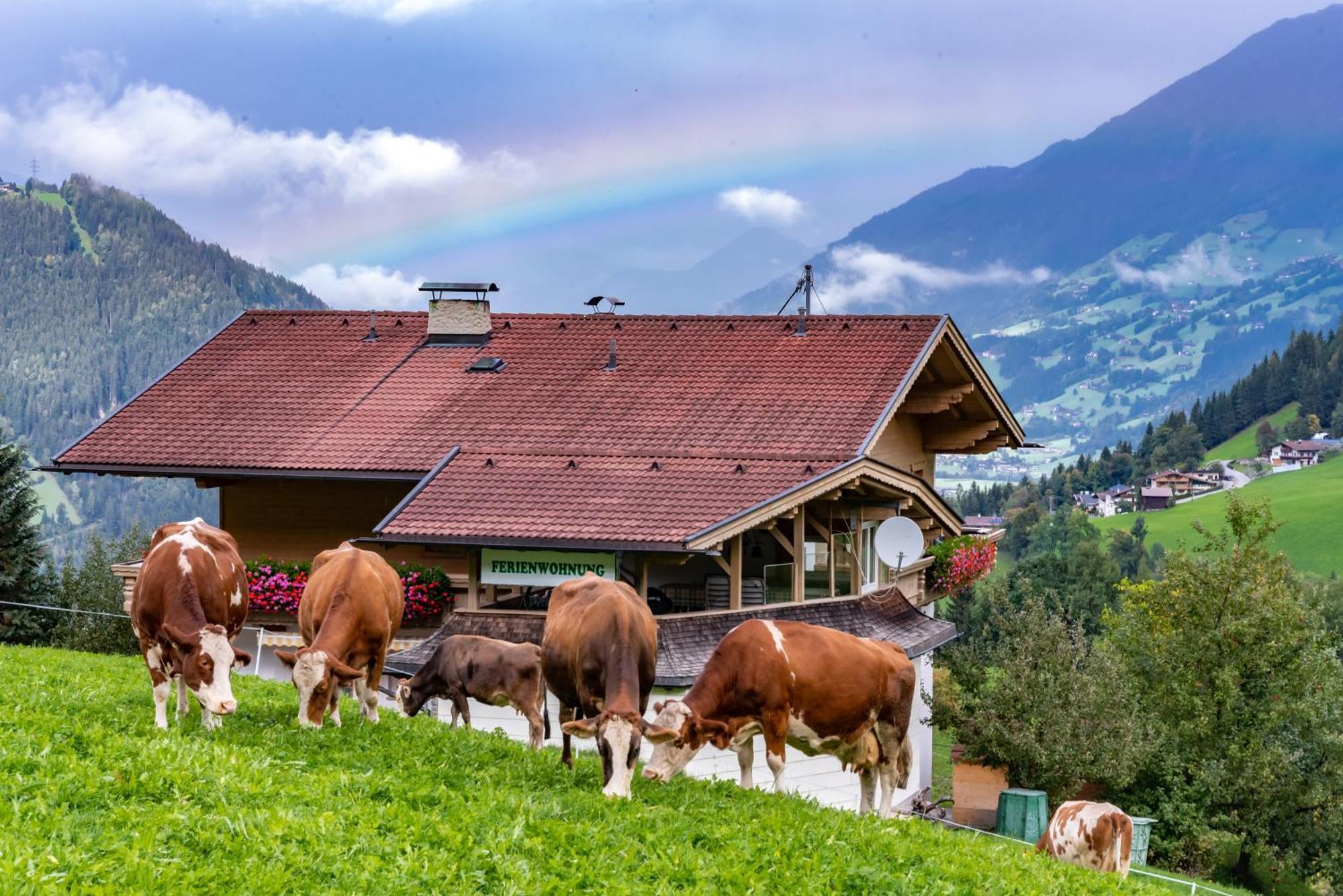 Ferienwohnung Ausblick Zillertal Hainzenberg Exterior photo